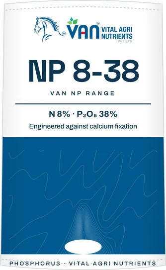 VAN NP 8:38