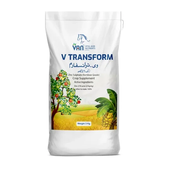 V-Transform
