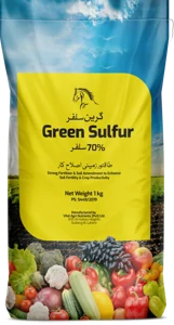 Green Sulfur