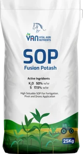 SOP
