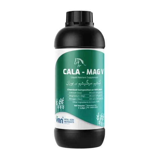 Cala-Mag V
